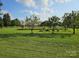 A picturesque view of the front yard shows mature fruit trees and a lush green field at 130 Scism Rd, Kings Mountain, NC 28086