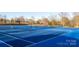 Bright blue tennis courts with nets in a residential community at 1612 Beleek Ridge Ln, Clover, SC 29710
