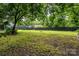 Expansive grassy backyard with a wood privacy fence, and mature shade trees at 1716 Umstead St, Charlotte, NC 28205