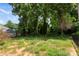 A spacious backyard featuring a lawn, trees, and partial fencing at 329 Squirrel Ln, Clover, SC 29710