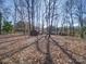 Large, leaf-covered backyard with mature trees, offering privacy and shade at 10514 Lorelei Pl, Charlotte, NC 28227