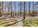 Backyard with trees and a wooden fence at 11010 Pale Hickory Ln, Charlotte, NC 28215