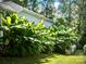 Lush backyard featuring banana trees and well-maintained lawn surrounding the property at 125 Rocky Trail Ct, Fort Mill, SC 29715
