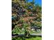 Lush tree with pink blossoms creating a beautiful canopy over a well-maintained lawn in a residential neighborhood at 125 Rocky Trail Ct, Fort Mill, SC 29715