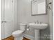 Bright powder room with pedestal sink, toilet, and white trim at 15307 Country Lake Dr, Pineville, NC 28134