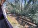 View of a backyard surrounded by trees, showing the property's outdoor space at 2507 Kilborne Dr # H, Charlotte, NC 28205