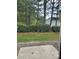 From the back patio you see a wooded area with green bushes and tall pine trees at 110 Rhett Ct, Fort Mill, SC 29715