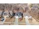 Aerial view showcasing the home's location within a well-maintained neighborhood and tree coverage at 14707 Batteliere Dr, Charlotte, NC 28278