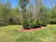 Yard features a landscaped planting bed with pine trees and mulch at 1496 Givens St, Hickory, NC 28602