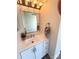 Bathroom vanity with a silver-framed mirror, white cabinets, and decorative flower pot at 8224 Golf Ridge Dr, Charlotte, NC 28277