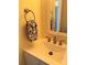 Bathroom with a modern sink, faucet, and vanity at 8224 Golf Ridge Dr, Charlotte, NC 28277