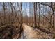 Scenic trail with a gravel path winding through a peaceful wooded area at 223 Scottish Dr, Mooresville, NC 28115