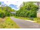 Neighborhood walking path surrounded by lush trees and greenery, perfect for outdoor enjoyment at 315 Wakefield Dr, Charlotte, NC 28209