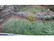 A well-maintained backyard with a grass lawn and a metal fence defining the yard's perimeter at 258 Ridge Reserve Dr, Lake Wylie, SC 29710