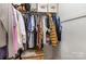 Walk-in closet with ample storage space and organized hanging clothes at 3428 Braewick Pl, Charlotte, NC 28227