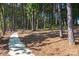 Take a walk on the scenic community trails under a canopy of mature trees at 865 Kathy Dianne Dr, Fort Mill, SC 29707