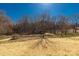 A large backyard with tall trees in the background at 2005 Sugar Hill Rd, York, SC 29745