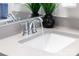 Bathroom sink with chrome faucet, light gray countertop, and decorative plants at 110 Wesser St, Davidson, NC 28036