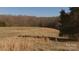 View of grass land featuring sparse trees and shrubs against a backdrop of wooded countryside on a sunny day at 2137 Old Latter Rd, Newton, NC 28658