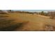 Expansive land with gentle slopes, ideal for various outdoor activities and potential development at 2137 Old Latter Rd, Newton, NC 28658