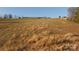 Large open field with dry grasses, ideal for farming or outdoor recreation with a distant building at 2137 Old Latter Rd, Newton, NC 28658