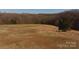 A large open field with mixed grasses, suitable for agricultural use or recreational activities at 2137 Old Latter Rd, Newton, NC 28658