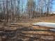 View of a partially wooded backyard at 112 Brook Creek Dr, Troutman, NC 28166