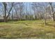 Backyard featuring a lush green lawn, mature trees, providing an open and natural outdoor space at 12 Church St, York, SC 29745