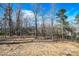 Large, level backyard surrounded by mature trees, offering ample space for outdoor activities at 1202 Louise Ln, Albemarle, NC 28001