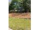 View of the spacious backyard with pine straw and rock border and lush mature trees at 2017 Bridleside Dr, Indian Trail, NC 28079