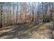 A backyard with dormant vegetation is surrounded by mature trees in a wooded area at 237 Creekstone Ln, York, SC 29745