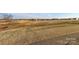 Open landscape showing the grass and a few trees and houses in the distance at 324 Aniston Ln, Shelby, NC 28152