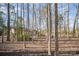 The backyard is framed by tall trees, providing privacy and natural beauty at 6817 Fieldlark Ln, Charlotte, NC 28227
