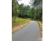 A paved path winds through lush greenery, offering a scenic route for walking and recreation at 8080 Monbo Rd, Catawba, NC 28609