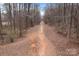 Scenic wooded trail perfect for walking, hiking, or nature enthusiasts with a natural setting at 15913 Robbins Green Dr, Cornelius, NC 28031