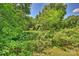 A view of the lush backyard with mature trees and verdant vegetation at 237 Mcneely Ave, Mooresville, NC 28115