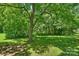Spacious backyard featuring a large tree with ample shade coverage, and lush greenery at 237 Mcneely Ave, Mooresville, NC 28115