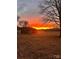 Sunset view of backyard with a small outbuilding, an open field, and colorful evening sky at 5622 S Rocky River Rd, Monroe, NC 28112