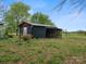 A backyard shed with an open bay and a painted mural sits in a grassy yard at 5622 S Rocky River Rd, Monroe, NC 28112