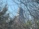Captured through tree branches is the city skyline, featuring a tall building at 1607 Harrill St, Charlotte, NC 28205