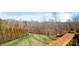 Landscaped backyard view from the wood deck with lush green grass and rows of evergreen trees at 182 Walking Horse Trl, Davidson, NC 28036