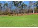 Expansive backyard with lush green grass and mature trees at 2020 Canova Dr, Mount Holly, NC 28210