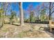 Large backyard with mature trees at 2123 Purser Dr, Charlotte, NC 28215