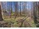 View of the woods surrounding the home showcasing a shed and natural landscape at 5902 Mt Holly Huntersville Rd, Charlotte, NC 28216