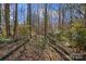 Wooded property view exhibiting natural surroundings, brush and undergrowth at 5902 Mt Holly Huntersville Rd, Charlotte, NC 28216