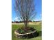 Beautiful landscaping with a stone-lined flower bed, colorful flowers, and a mature tree in the backyard at 139 Tenth Green Ct, Statesville, NC 28625