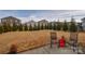 Large backyard with well-manicured lawn, featuring a row of trees and outdoor seating at 173 Glastonbury Dr, Mooresville, NC 28115