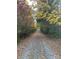 Tree-lined driveway leading to the property, surrounded by colorful foliage at 33320-B Hobe Rd, Albemarle, NC 28001