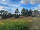 This is a view of the property with a lush green landscape and tall trees at 33320-B Hobe Rd, Albemarle, NC 28001