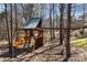 Backyard playground featuring a slide and swings, providing outdoor fun at 7205 Yellowhorn Trl, Waxhaw, NC 28173